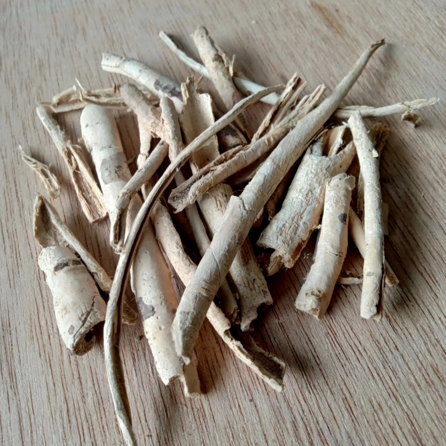 

Pulosari Kering Asli 500 gr Pulasari Asli Herbal Alami
