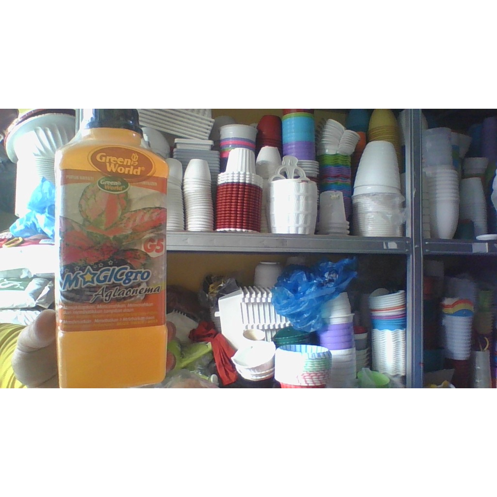 MAGICgro Aglonema G5 [998 ml]