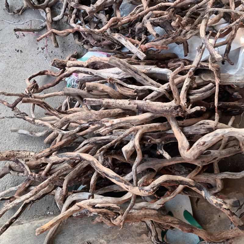 kayu (akar) santigi/setigi aquascape  ukuran XL