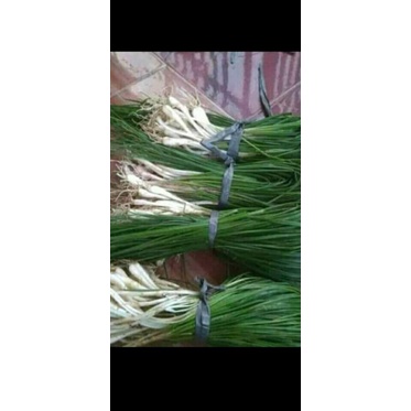 

Kuncau per 1 iket 100grm