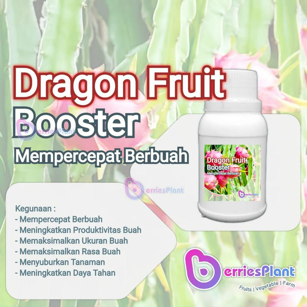 Booster Buah Naga SUPER | Mempercepat Berbuah | Perangsang Bunga  |  Perangsang Buah | Cepat Berbuah