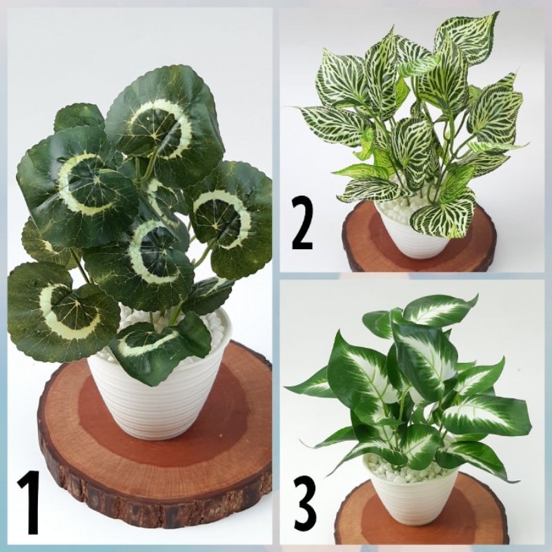 Tanaman Hias Artificial/Daun Artificial Sirih Gading plastik pot tawon putih 10cm