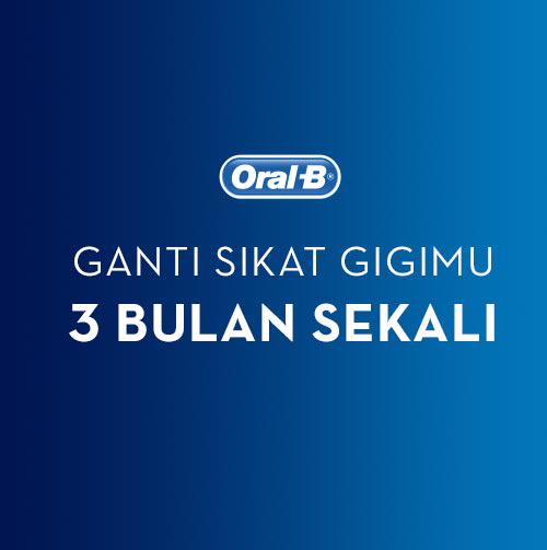 Oral-B Sikat Gigi All Rounder Easy Clean Herbal 3s - Isi 6