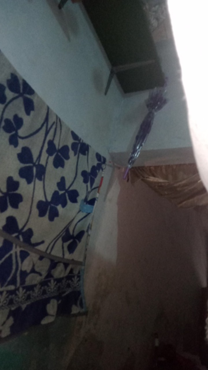 New!!! [standard Quality] Payung Korea Trasparan Motif Cantik Dan Lucu