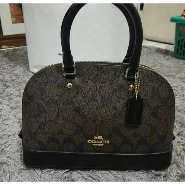 Coach mini siera