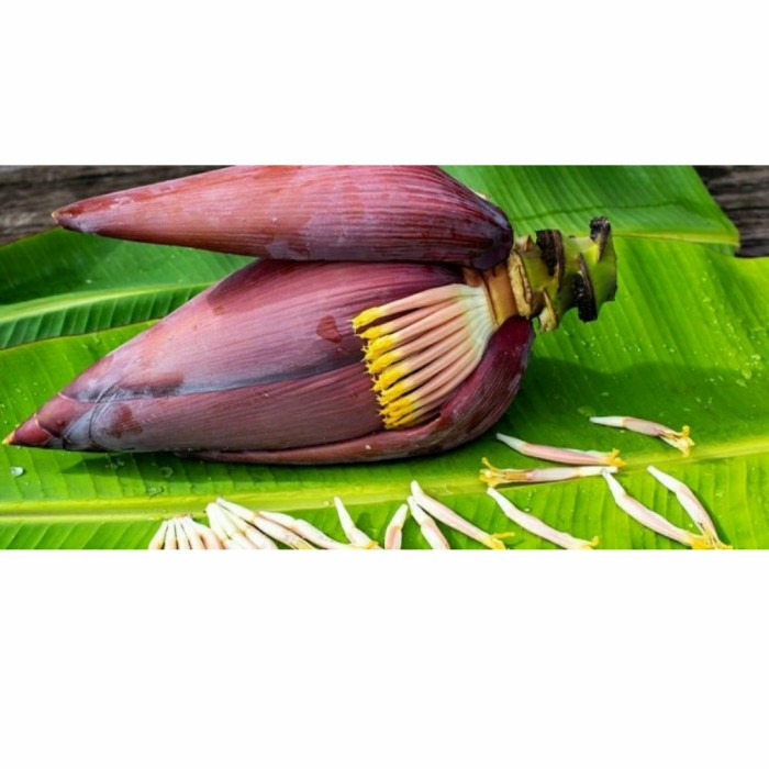 

Jantung Pisang Segar - 1 Pcs