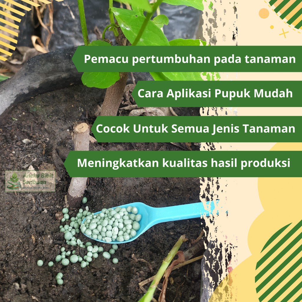 Pupuk NPK Grower 15-09-20 TE Nutrisi Pertumbuhan Bunga Buah Tanaman Sayur Buah 100gram