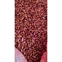 

Kacang Merah / Kacang Jogo 1 KG