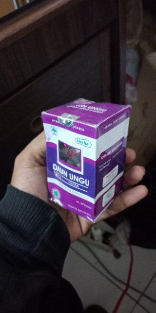 Obat Wasir Hiu Daun Ungu / Obat Ambeien / Obat Wasir Herbal / Kapsul Daun Ungu / Obat Ambeyen