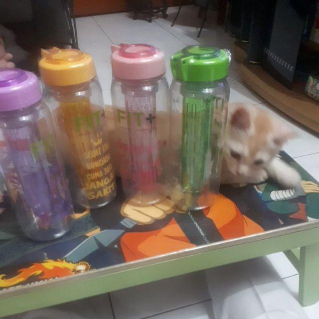 Fit + Bottle Botol Fit Plus Botol Infused Water