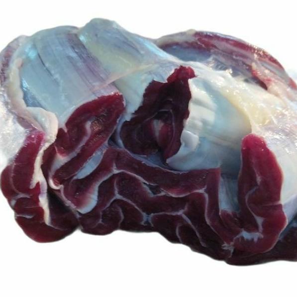 

Good Daging Sengkel Kembang Sapi Lokal Fresh Deal Titioktari2