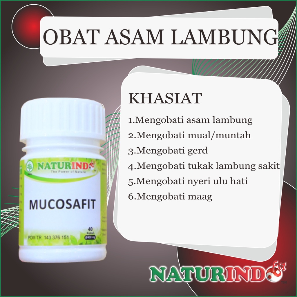 obat maag maah kronis ampuh asam lambung herbal maag kronis bau mulut akut asam lambung kronis asam lambung pusing bau mulut menahun tipes typus-ASAM LAMBUNG