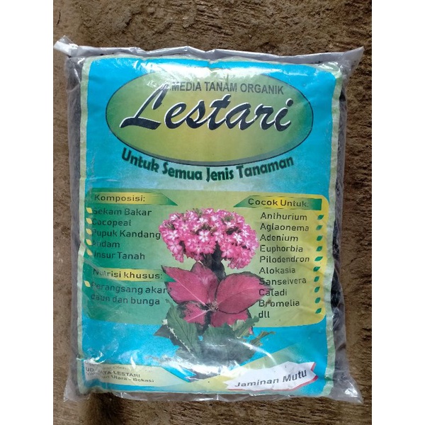 media tanam lestari/media tanam aglonema