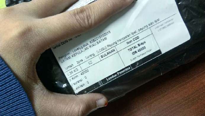 [logu] Payung Transparan Lipat, Payung Auto Lipat Transparan Brown Cony Paris