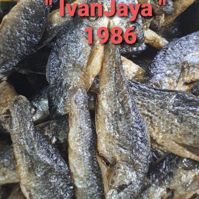 

[COD] Ikan Bilih Danau Singkarak / Tawar Padang Besar 250gram [COD]