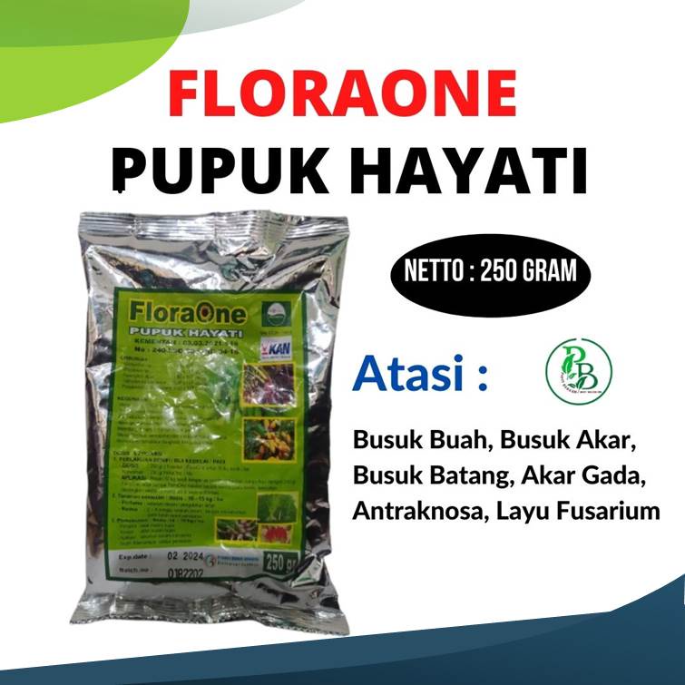 Pupuk fungisida layu fusarium Cabe keriting, Obat penyakit Cabai antraknosa TRICODERMA Busuk Buah, B