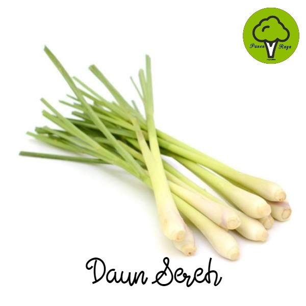 

DAUN SEREH [250GR]