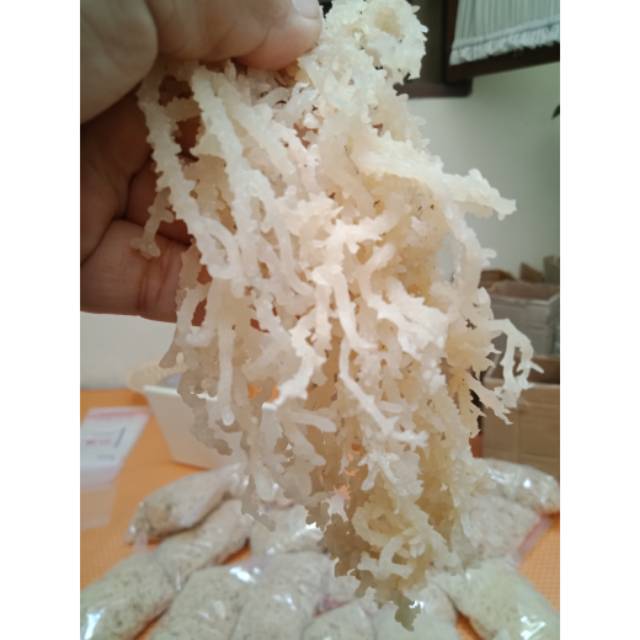 

Rumput laut 100gr