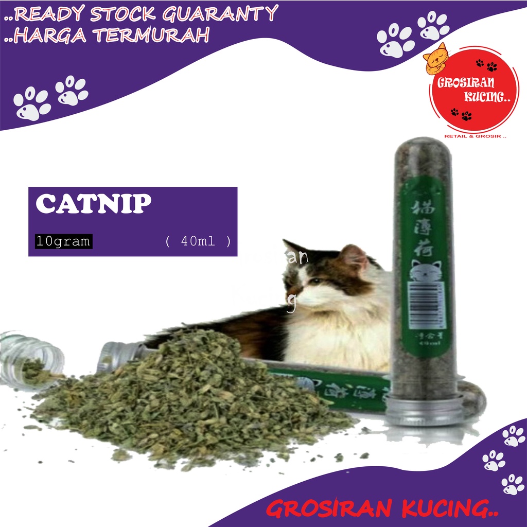 CATNIP BOTOL ISI 10 gram / for cat / Mainan kucing / Aroma hewan