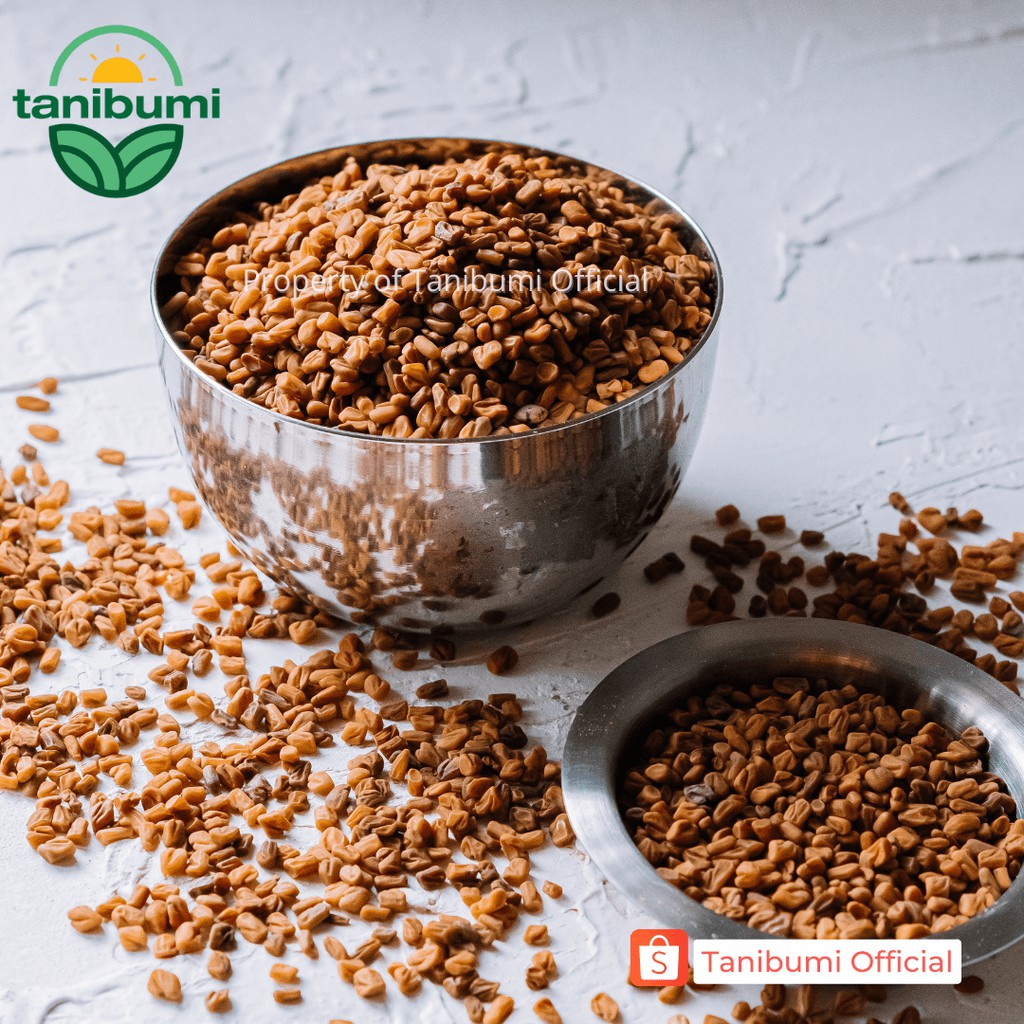 Termurah Klabet 500g Fenugreek Seed Kelabat Hulbah Methi