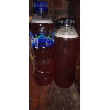 

MADU KLANCENG / KELULUT ASLI ( TANPA CAMPURAN )
