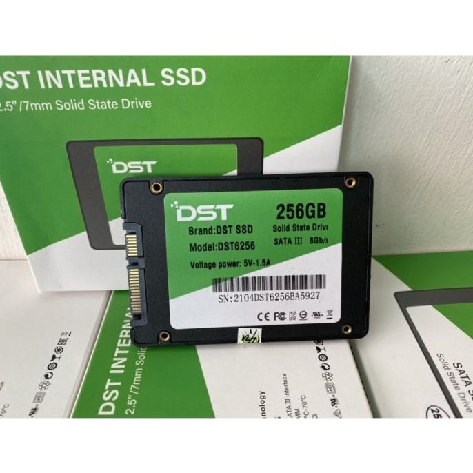 Ssd Sata Internal Dst 256 Gb Joanpratama46