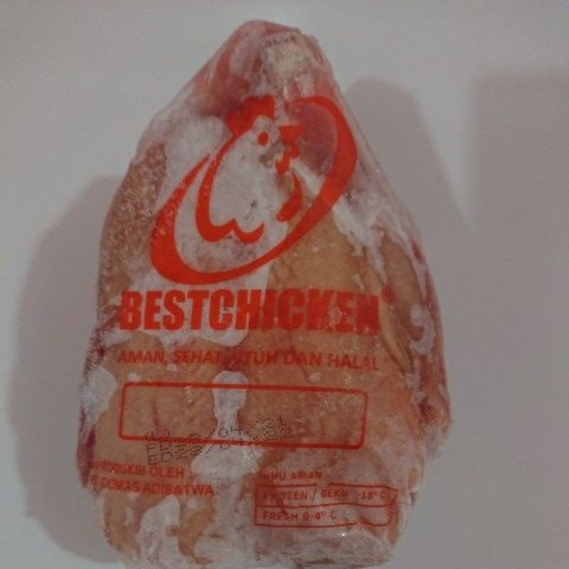 

ayam utuh 07