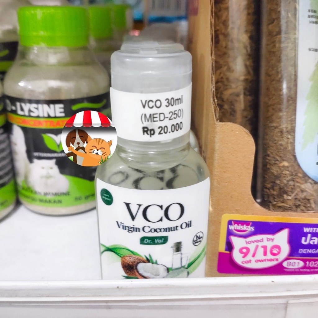 VCO Virgin Coconut Oil - Obat Scabies Kucing Obat Jamur Kulit Anjing