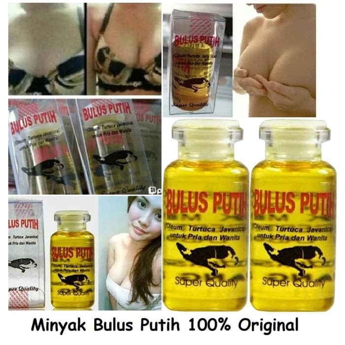 Minyak Bulus Putih Original Minyak Bulus Bulus Putih Shopee Indonesia