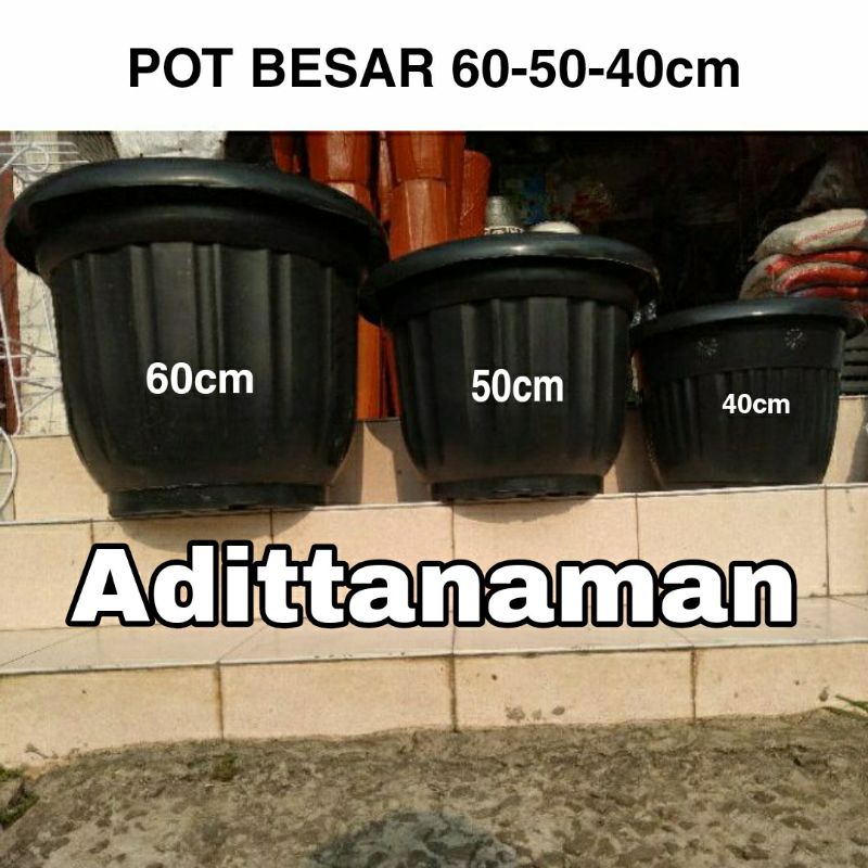 Pot besar ukuran 50cm-pot tanaman (Gosend instan only)