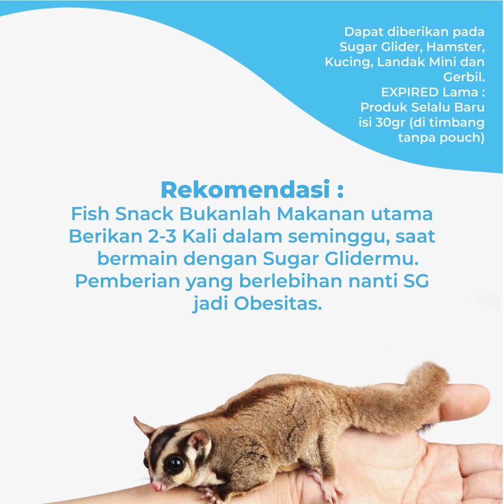 FISH SNACK CAMILAN FAVORIT SUGAR GLIDER IMPORT MALAYSIA MURAH PERAWATAN SG BONDING