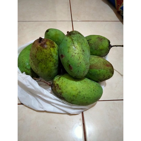 

mangga Indramayu