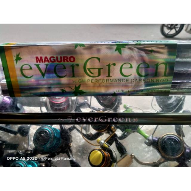 Tegek Maguro Evergreen 360 450