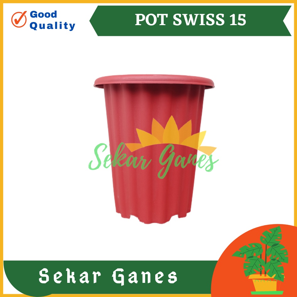 Pot Swiss 15 Merah BataTerracota Terracotta Merah Coklat Pot Yogap 10 13 15 Putih Coklat Merah Bata Bening Transparan Pot Yogap 17 18 19 Pot Yogap Murah Pot Bunga Tinggi Pirus Tegak Bagus Tebal