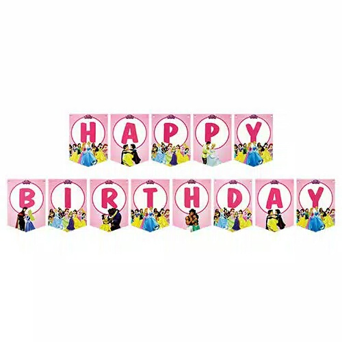 Banner flag bunting flag ulang tahun karakter princess