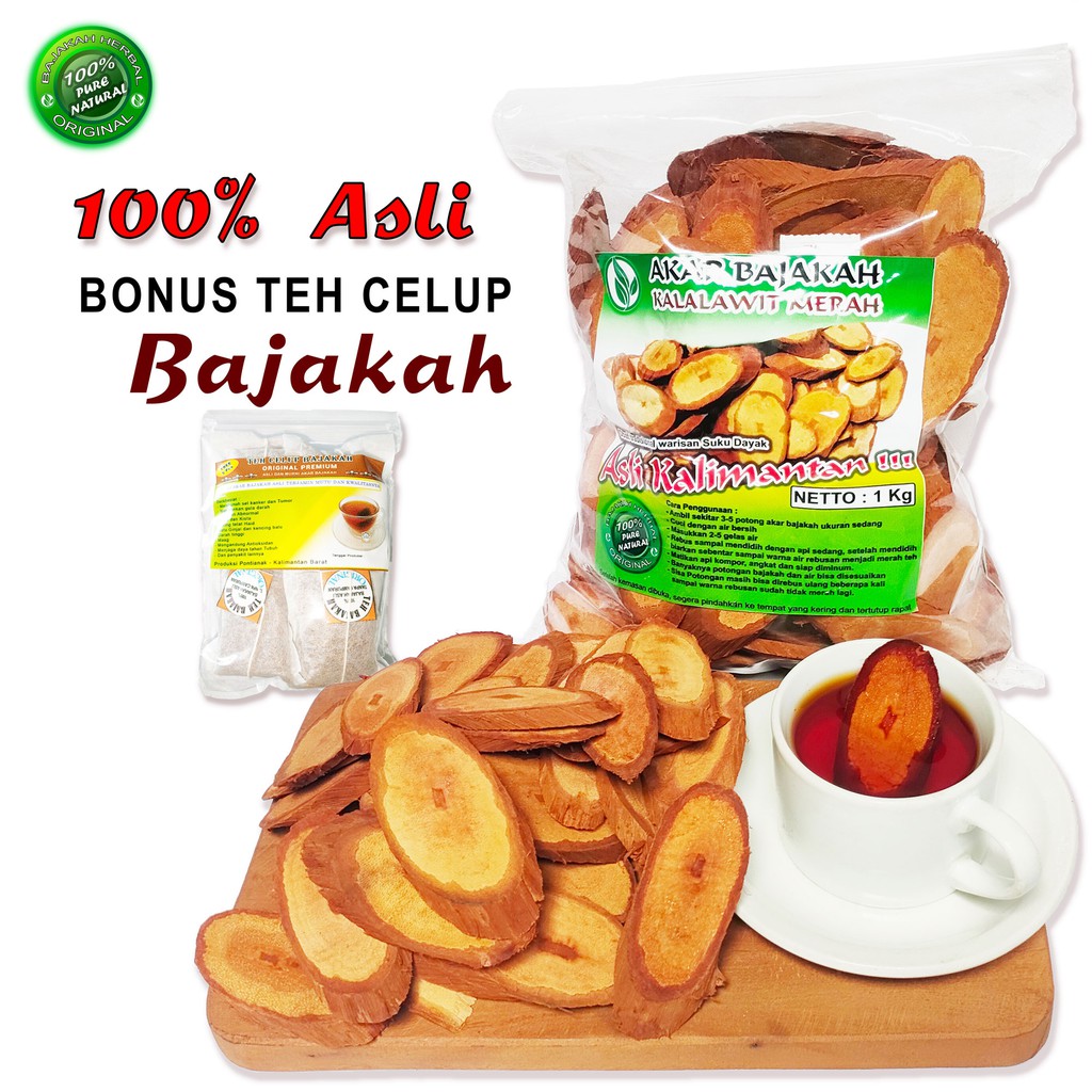 

(1KG) KAYU BAJAKAH / AKAR BAJAKAH / OBAT HERBAL ASLI KALIMANTAN / BAJAKAH KALALAWIT MERAH