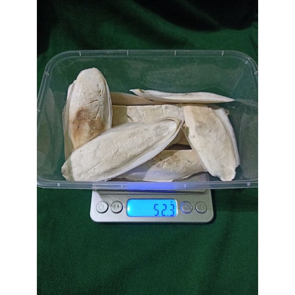 TULANG SOTONG PATAHAN JUMBO 50GR PUTIH BERSIH SORTIRAN GRADE A TULANG SOTONG PAKAN KURA DARAT SULCAT