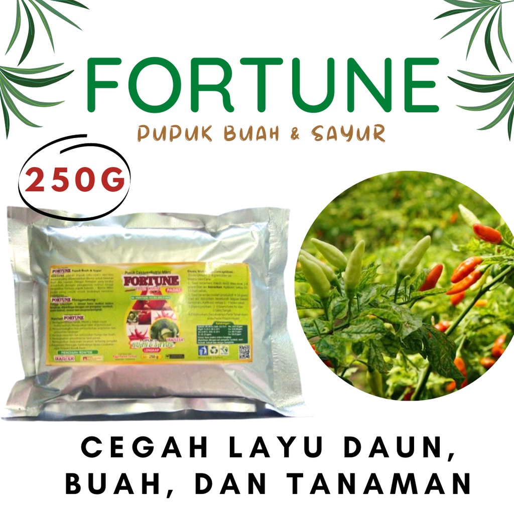 Jual Pupuk Cabe Rawit Agar Berbuah Lebat Pupuk Booster Cabai Merah Keriting Hijau Shopee 1093