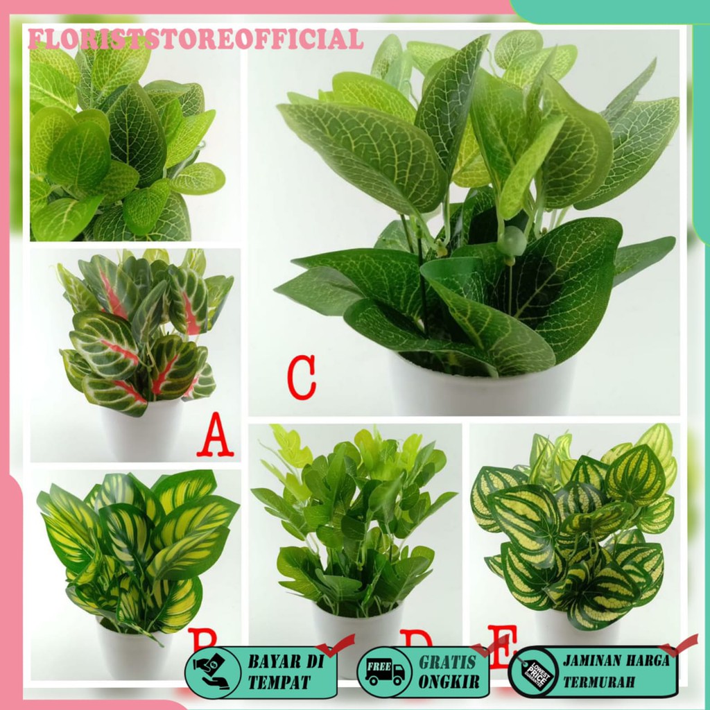 COD TANAMAN HIAS TANAMAN DAUN PLASTIK TANAMAN HIAS RUMAH BUNGA HIAS BUNGA PLASTIK BUNGA BP8844