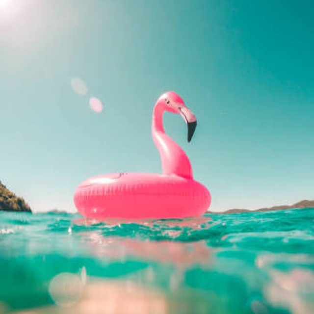 Floaties Flamingo