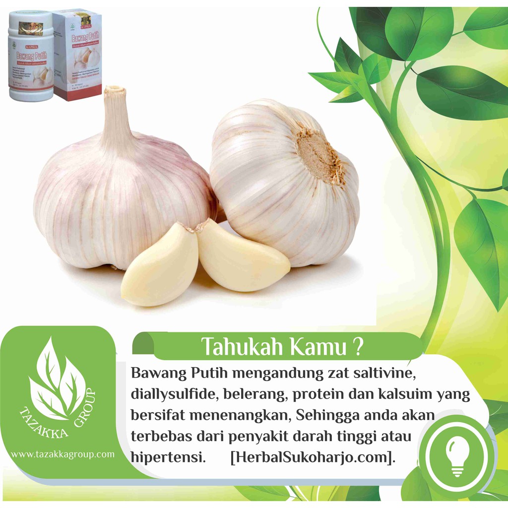 Obat Darah Tinggi Obat Herbal Hipertensi Kapsul Herbal Bawang Putih Tazakka Isi 60 Kaps Shopee Indonesia