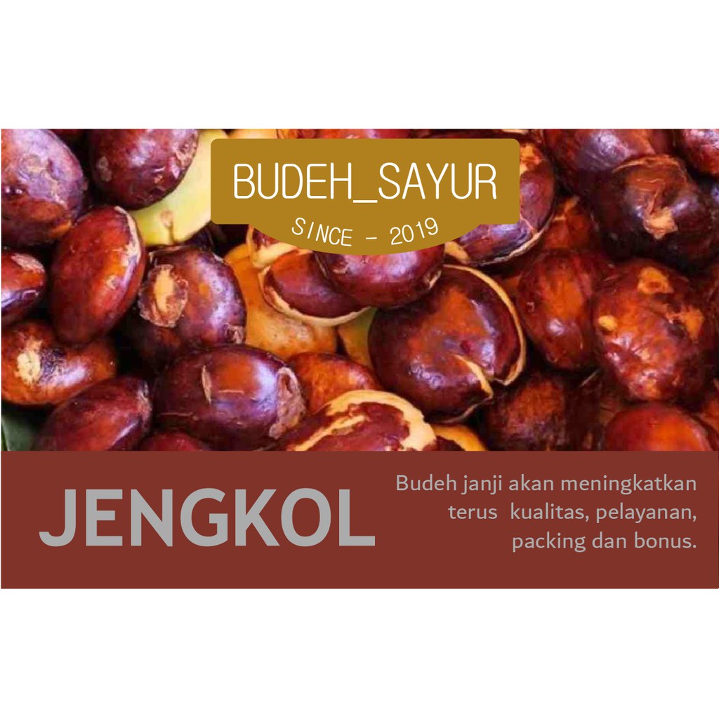 

Jengkol 250gr