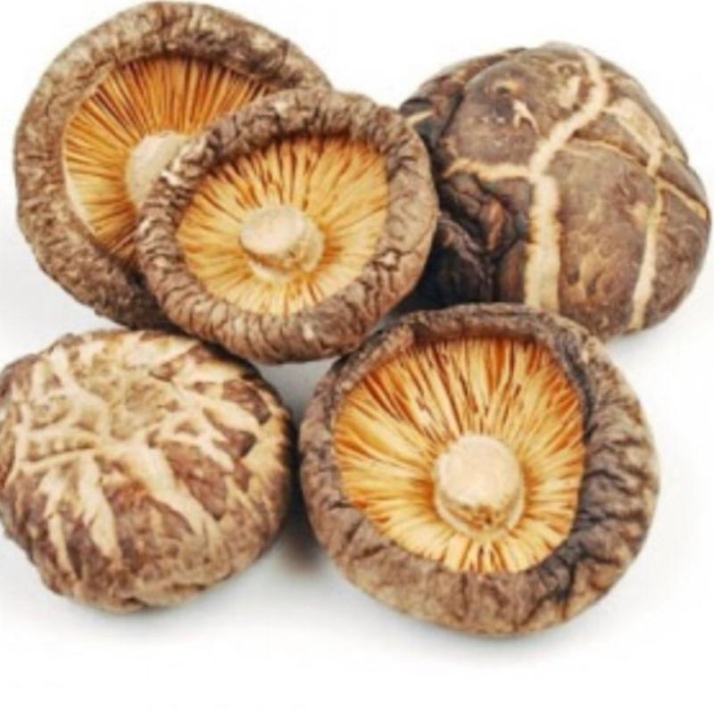 

Jamur Shitake Xiang Gu Hioko Fragrant Mushroom 100gram