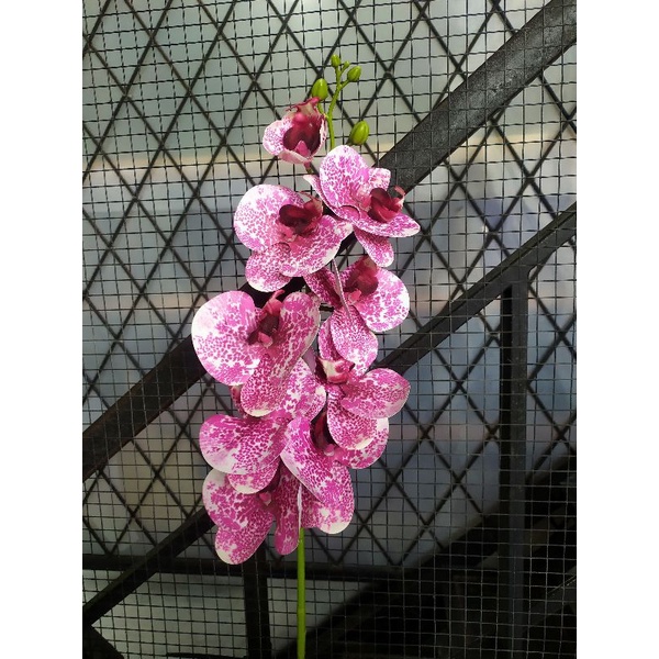 Anggrek Latex 9 kuntum jumbo /Anggrek bulan/Anggrek artificial