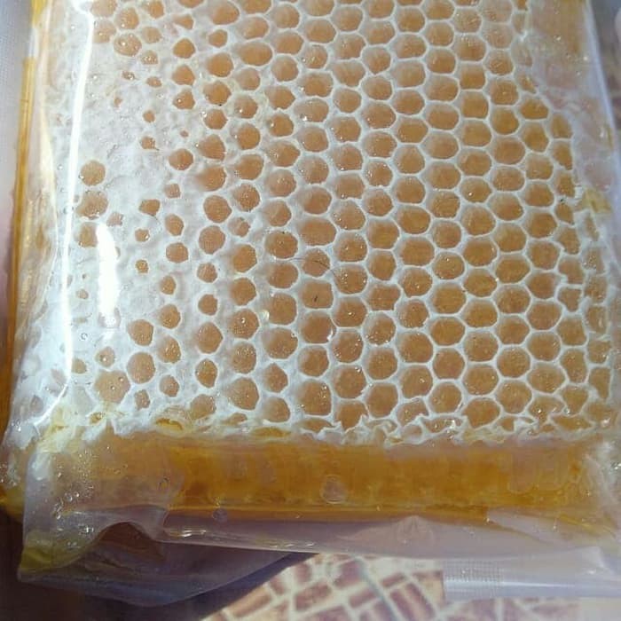 

madu sarang mellifera - MMD1637