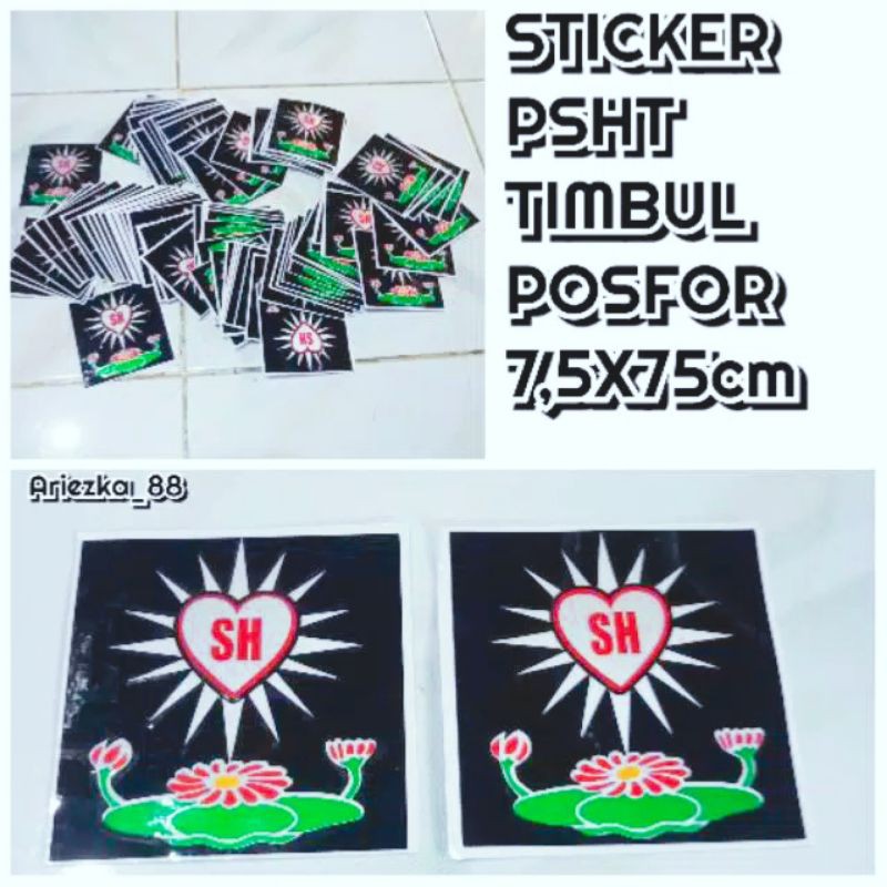 Stiker PSHT posfor Bunga Hati Bersinar Terate | stiker logo terate timbul 1biji