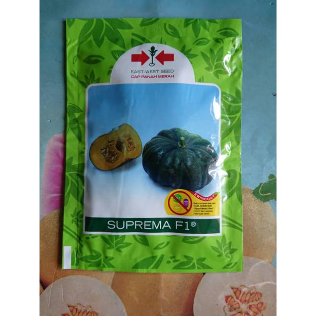 Benih Labu Kuning SUPREMA F1 225bj Original Exp 10/26
