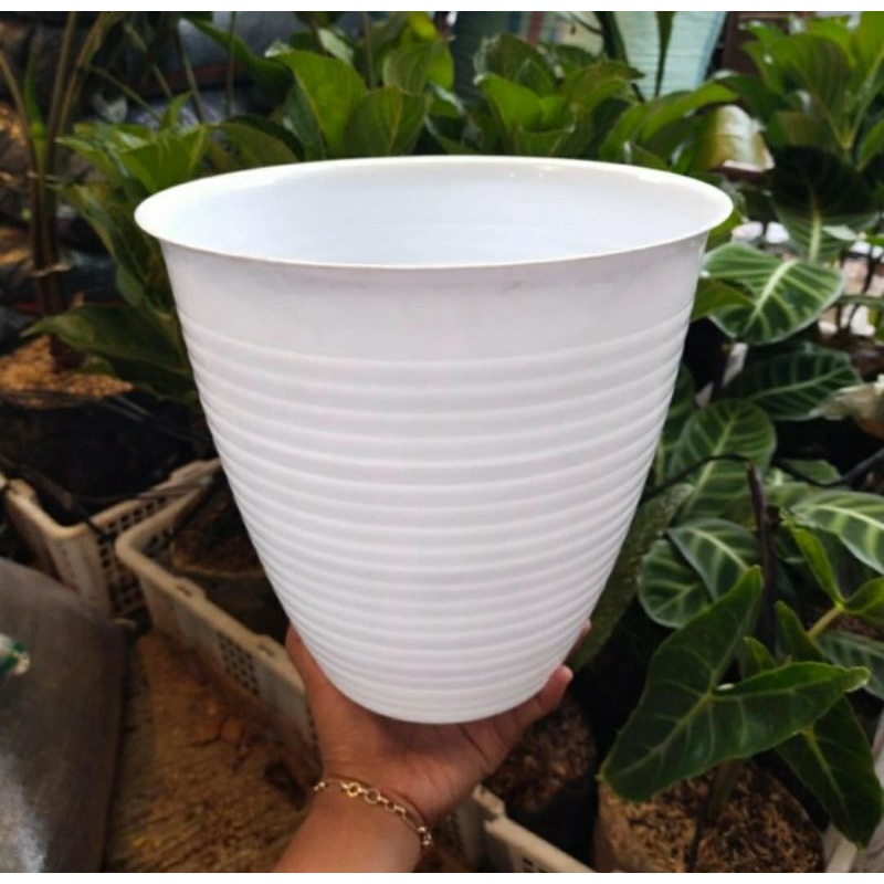 Pot tinggi putih 301, pot model tawon guci tinggi putih tirus