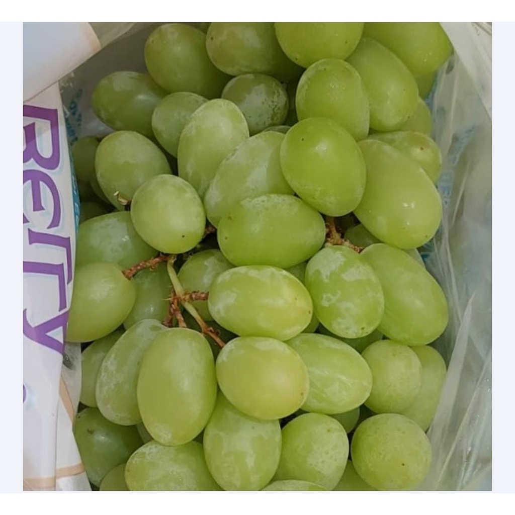 

Anggur Stella Bella USA 500 gr