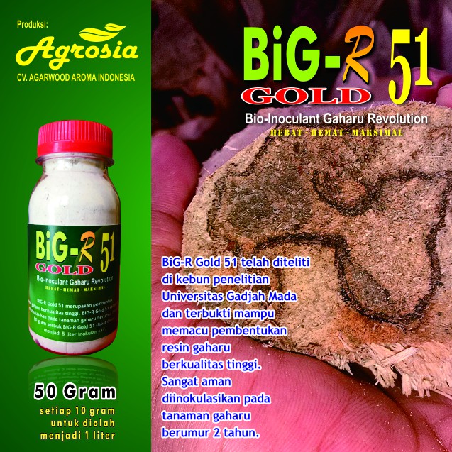 BiG-R Gold 50 gram - Inokulan Organik Pembentuk Gubal Gaharu